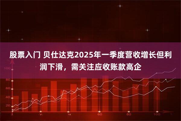 股票入门 贝仕达克2025年一季度营收增长但利润下滑，需关注应收账款高企