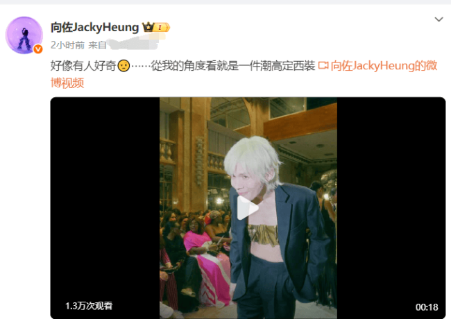 向佐回应穿金属抹胸：从我的角度看就是一件高定