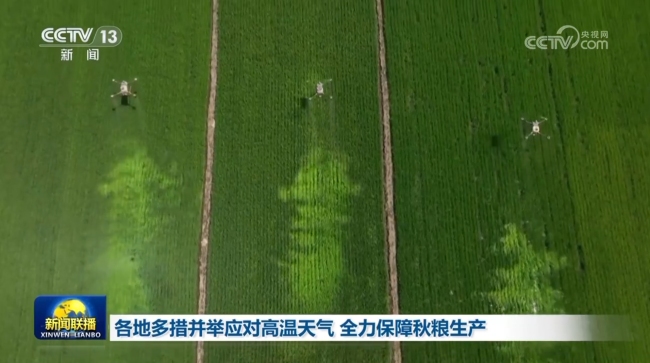 河南:全力保障秋粮生产 科技助力抗旱保苗