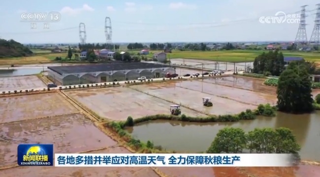 河南:全力保障秋粮生产 科技助力抗旱保苗