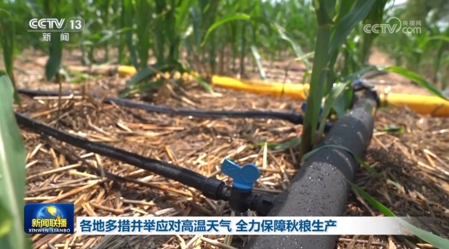 河南:全力保障秋粮生产