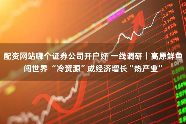 配资网站哪个证券公司开户好 一线调研丨高原鲜鱼闯世界 “冷资源”成经济增长“热产业”