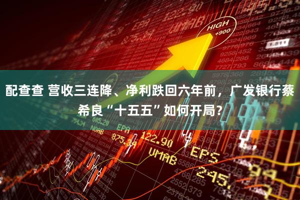 配查查 营收三连降、净利跌回六年前，广发银行蔡希良“十五五”如何开局？
